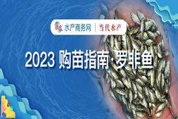 仍有40%舊魚(yú)存塘，投苗量或減超20%，這條魚(yú)“?！敝袔в心男皺C(jī)”？｜2023購(gòu)苗指南·羅非魚(yú)