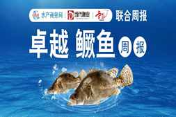 漲了！國慶前全國出魚量激增，廣東鱖魚最高漲1元/斤，市場釋放哪些信號(hào)？｜海南卓越聯(lián)合播報(bào)?